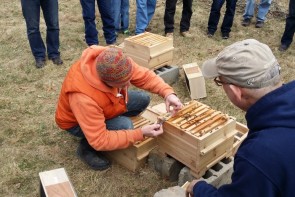 A Housewarming Party for Bees