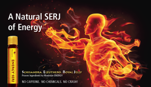 Energy+SERJ+poster+-+fire[1]