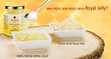 Why-Fresh-Royal-Jelly-Never-Freeze-Dried-sml